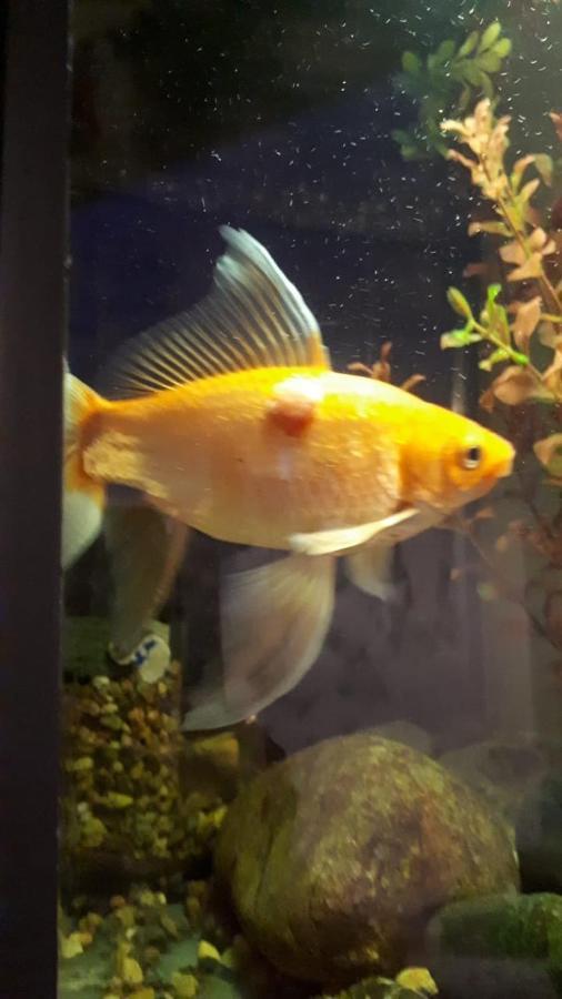 Апартаменты Aquarium Тбилиси Экстерьер фото